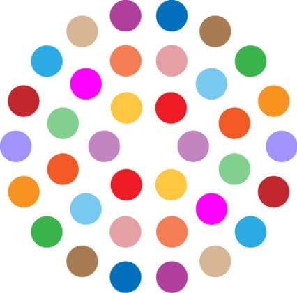 Digital Democracy Initiative